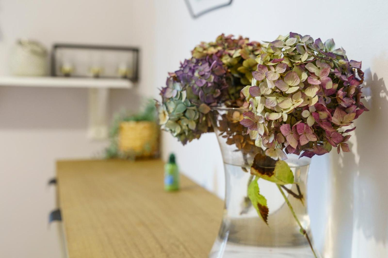 Close To City Centre Stylish 3 Bedroom House Belfast Buitenkant foto